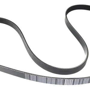 Obniżka ceny Pasek klinowy alternatora oe