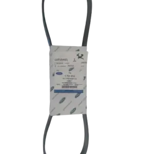 Pasek klinowy wielorowkowy FORD Cena promocyjna