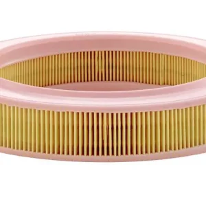 Niska cena FILTR POWIETRZA C, L, CL, GL (1.3) 8/79 - 6/81