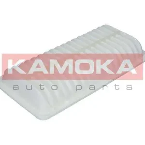 Ekspresowa dostawa FILTR POWIETRZA